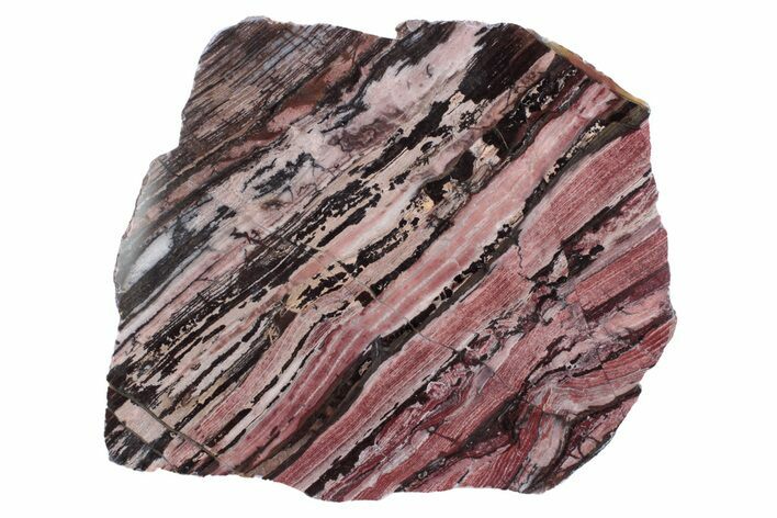 Polished Banded Pinyalling Jasper Slab - Western Australia #239977